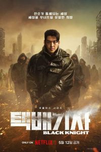 Постер сериала Чёрный рыцарь